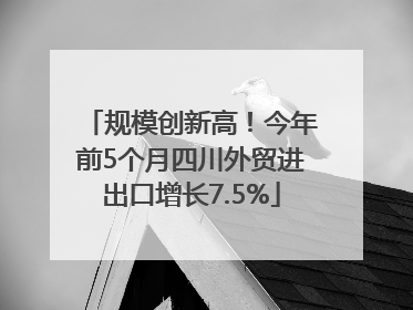 规模创新高！今年前5个月四川外贸进出口增长7.5%